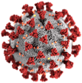 Coronavirus 